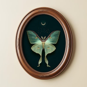 May include: An oval wooden framed print featuring a Luna moth against a dark teal background. The moth is light green with delicate wing patterns. A crescent moon and stars are visible above the moth. The frame has decorative carvings.