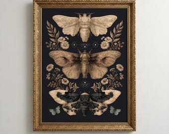 Moth Wall Art | Dark Cottagecore Decor | Moody Botanical Wall Art | Gothic Entomology Art | Gift for Moth Lover | Victorian Insect Decor