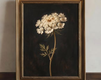 May include: A framed botanical print featuring a white flower with a cluster of small blooms and a long stem against a dark background. The artwork is in a gold-colored frame, adding a touch of elegance to the floral design.