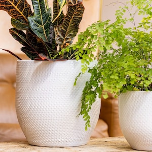 Plantpatio Cato, Handwerker glasierter Terrakotta Blumentopf - Weiß