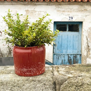 Peut inclure: Un pot en terre cuite rouge avec une plante verte posé sur un rebord de pierre devant une porte bleue avec le numéro 29.