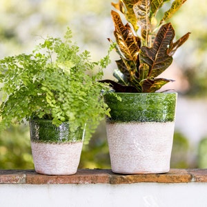 Plantpatio Tosco, Handwerklich glasierter Terrakotta-Blumentopf - Waldgrün
