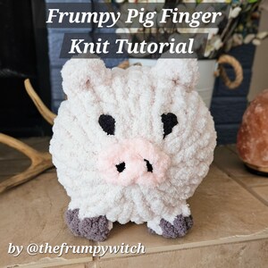 Puede incluir: Un cerdo de punto blanco y suave, con ojos negros y un hocico rosa. El cerdo tiene pezuñas grises. El texto "Frumpy Pig Finger Knit Tutorial" y "by @thefrumpywitch" está presente.