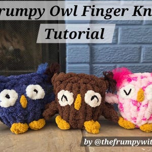 Può includere: Tre peluche a forma di gufo lavorati a maglia con le dita, blu, marroni e rosa, con dettagli bianchi e gialli. I gufi hanno grandi occhi e sono disposti in fila. Il testo in alto recita "Frumpy Owl Finger Knit Tutorial" e in basso "by @thefrumpywitch".