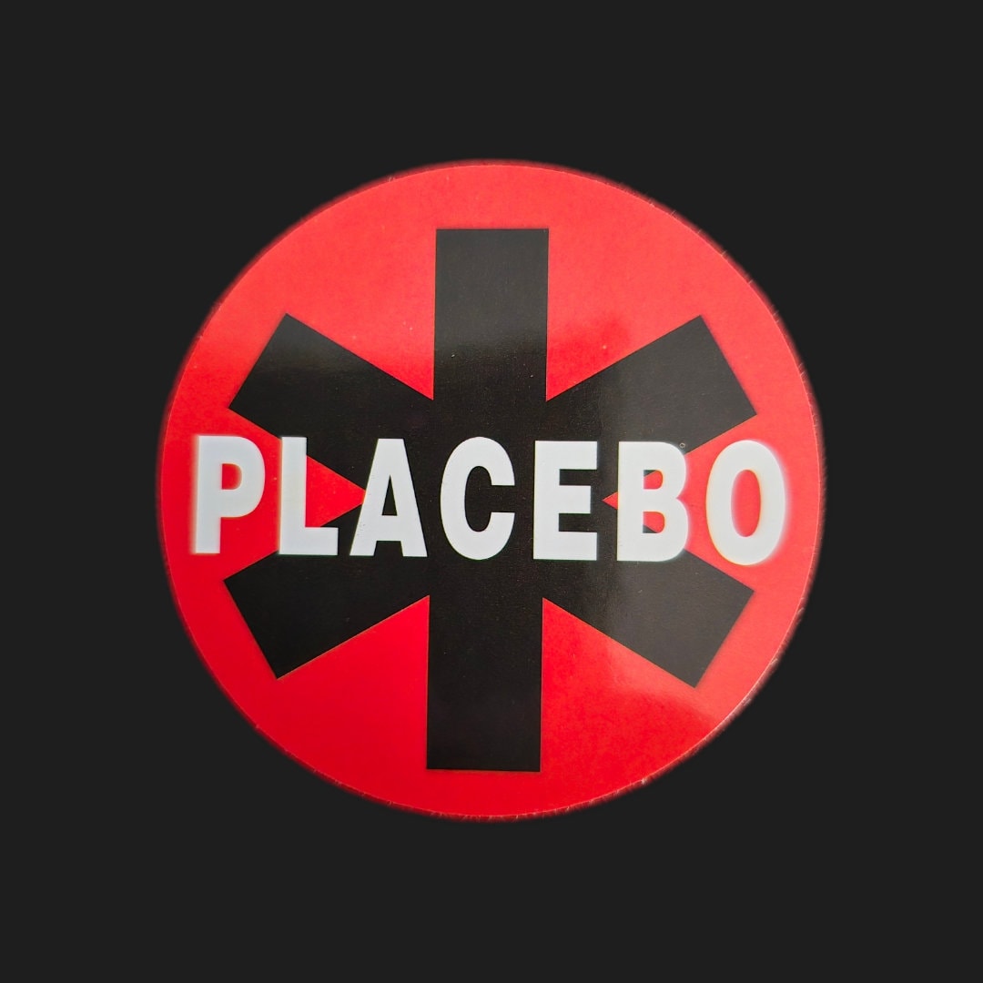 PLACEBO Band Music Hard Hat Snowboard Skateboard Surfer Car Binder