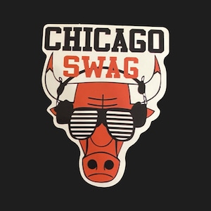 Adesivo Chicago BULLS con logo della squadra di hockey, casco da basket, snowboard, skateboard, auto, 2 x 2,75 cm **NUOVO**