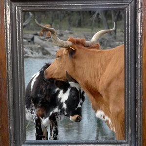 Good Mom - Texas Longhorn 11&quot; x 14&quot; photo in antique frame