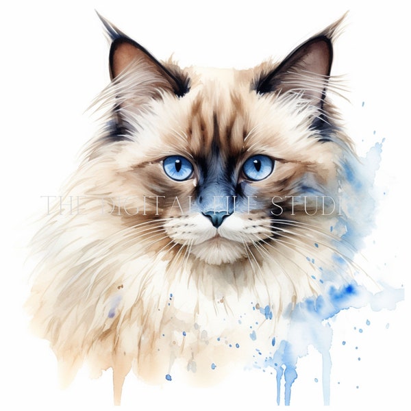 12 High-Quality Ragdoll Cat PNG | JPG | PDF | Cat Clipart | Watercolor | Card Making | Commercial Use Digital Download