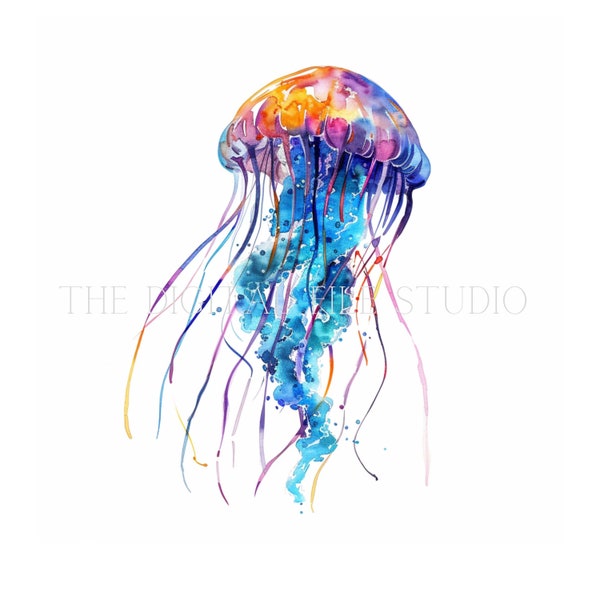 12 Jellyfish PNG|JPG|PDF Clipart - 12 Digital Download Animal Images | Animal Art | Animal Lovers | Watercolor | Files | Digital Art