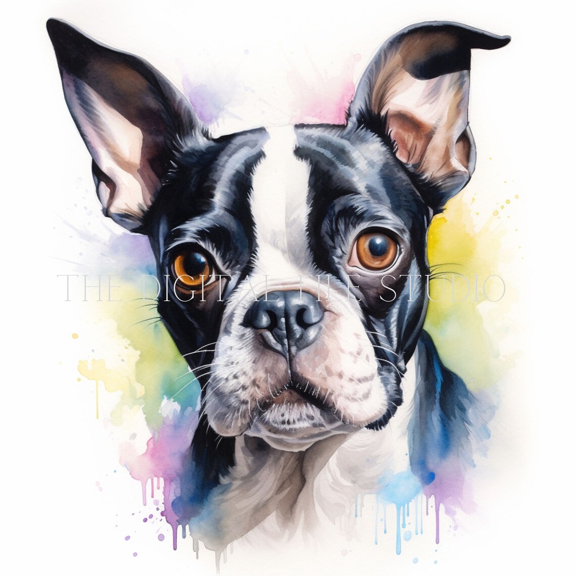Boston Terrier Watercolour Greeting/note Card-boston Terrier Art Card