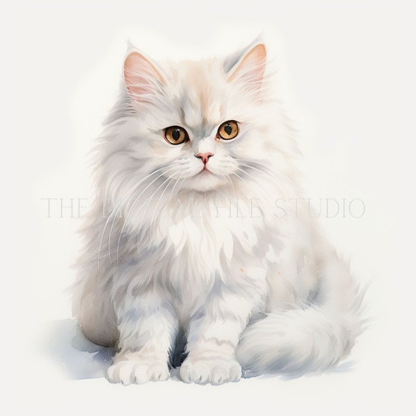 12 High-Quality Persian Cat PNG | JPG | PDF | Cat Clipart | Watercolor | Card Making | Commercial Use Digital Download