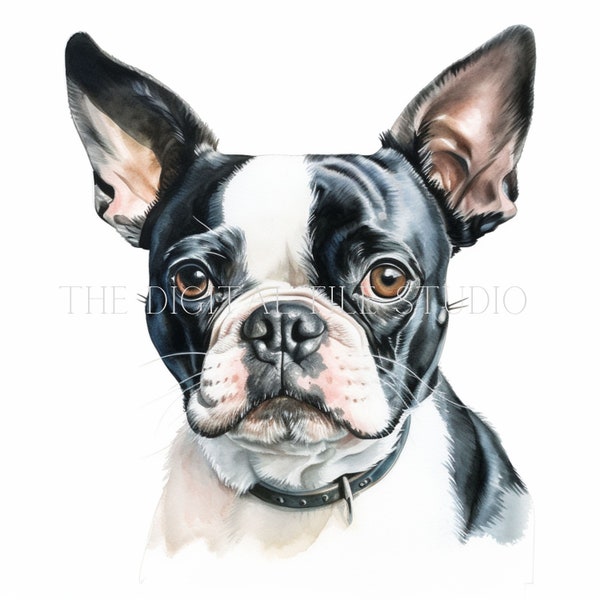 12 High-Quality Boston Terrier PNG | JPG | PDF | Dog Clipart | Watercolor | Card Making |Commercial Use Digital Download