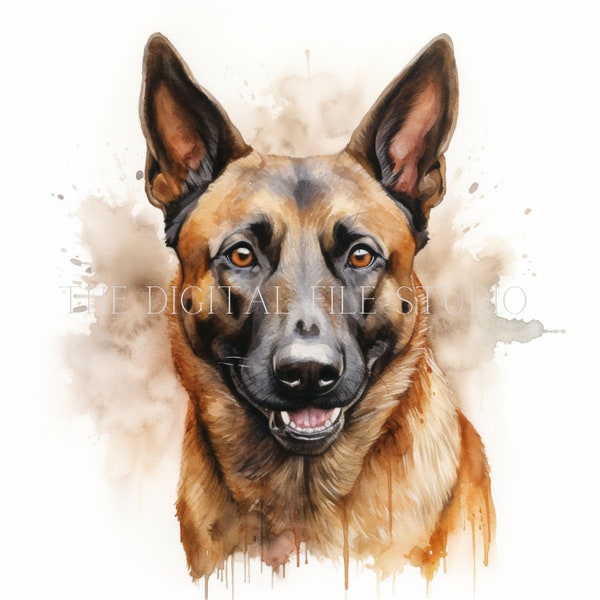 12 High-Quality Belgian Malinois PNG | JPG | PDF | Dog Clipart | Watercolor | Card Making |Commercial Use Digital Download