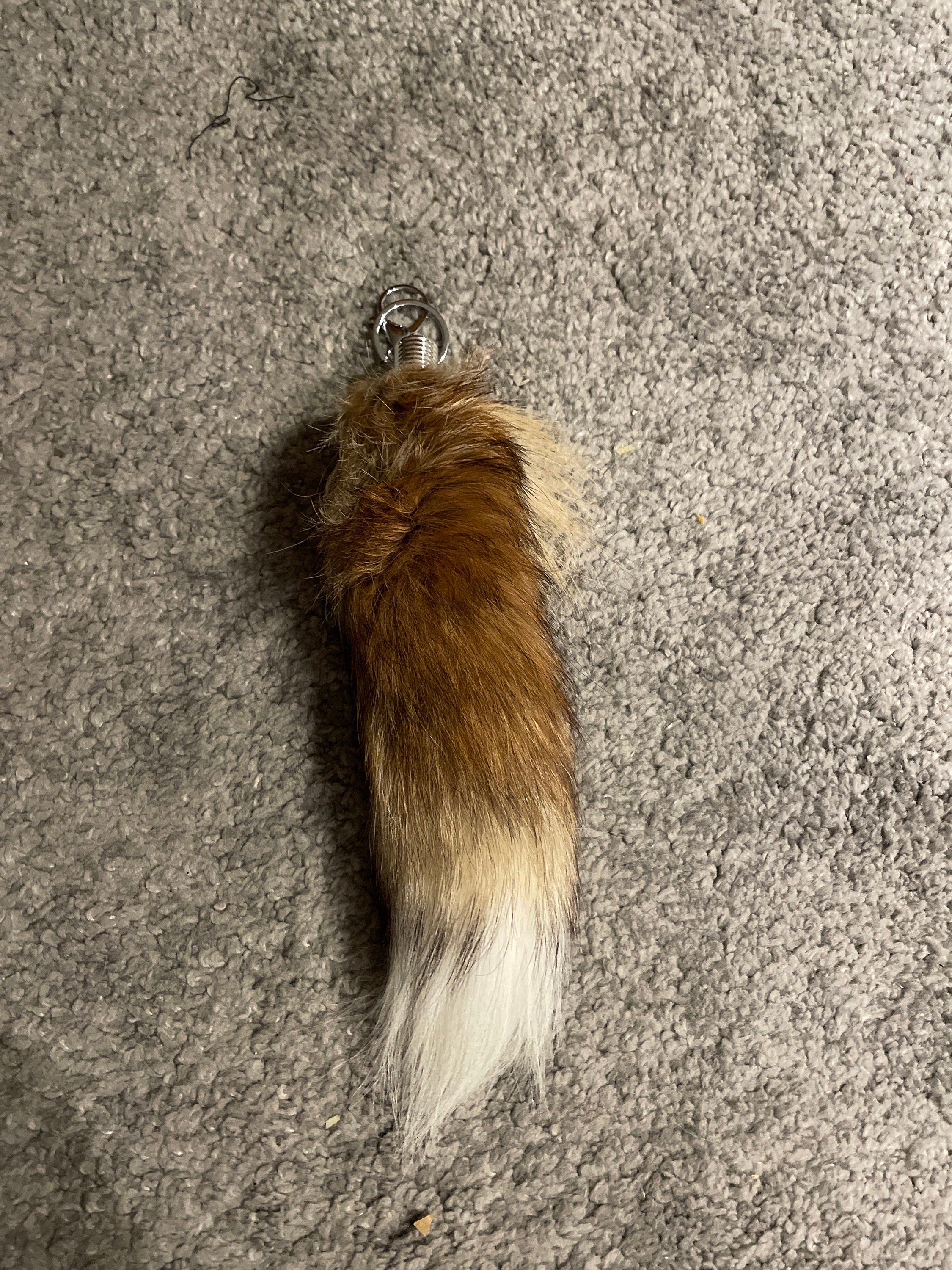 Got my first tail✨✨ : r/Therian