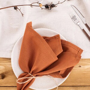 BROWN Napkin, Brown wedding table napkins, brown linen napkins, dinner linen cloth napkins, washed linen napkins