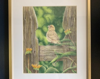 8x10 Spring Songbird on Garden Fence Original Drawing, Giclee Print, Wall Art