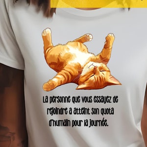 Citation png drôle de chat sarcastique, chat drôle, amoureux des chats, dessins et modèles de chats, images drôles, animaux de dessins animés, chats sarcastiques, dessins pour amoureux des animaux
