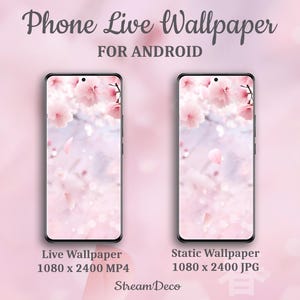 Pink Sakura live wallpaper, animated background, dynamic mobile wallpaper for Android, Cherry Blossom theme