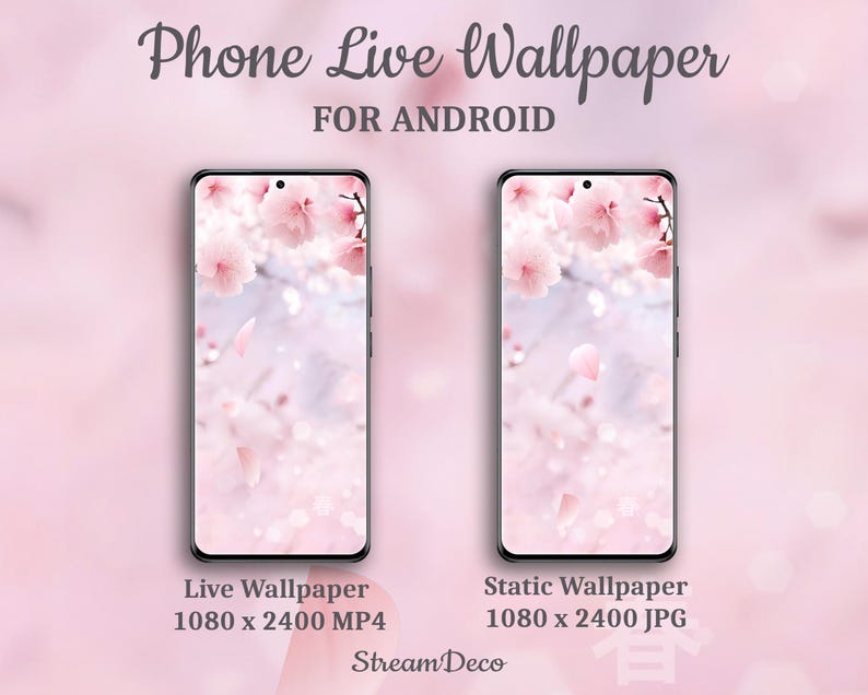 Pink Sakura live wallpaper, animated background, dynamic mobile wallpaper for Android, Cherry Blossom theme