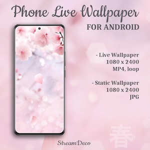 Pink Sakura live wallpaper, animated background, dynamic mobile wallpaper for Android, Cherry Blossom theme