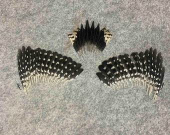 feathers of the Great Spotted Woodpecker (lat. Dendrocopos major)
