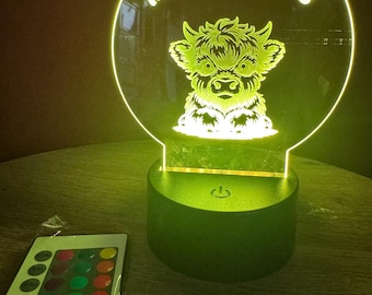 LED customalizble lights.