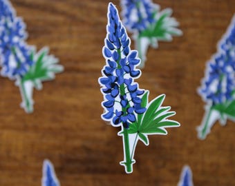 Texas State Flower - Bluebonnet