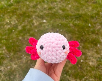 Axolotl Crochet | Axolotl Plushies | Axolotl Stuffed Animal | Amigurumi | Gift Toy | Free shipping