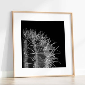 Kaktus Poster, Quadratische druckbare Kunst, Skandinavische Dekoration, Sukkulenten Foto-Download, moderne Kunst für Wohnzimmer oder Büro