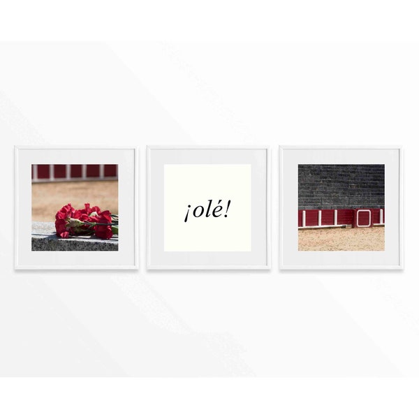 Set of 3 Prints Bullfighting Art, Spain Travel Print, Bullring Photo, Square Photography, 3 Piece Wall Art, Instant Digital Download