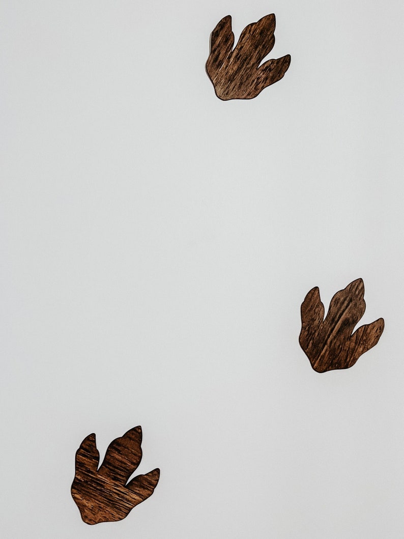 Dinosaur Footprint Wall Decor Etsy