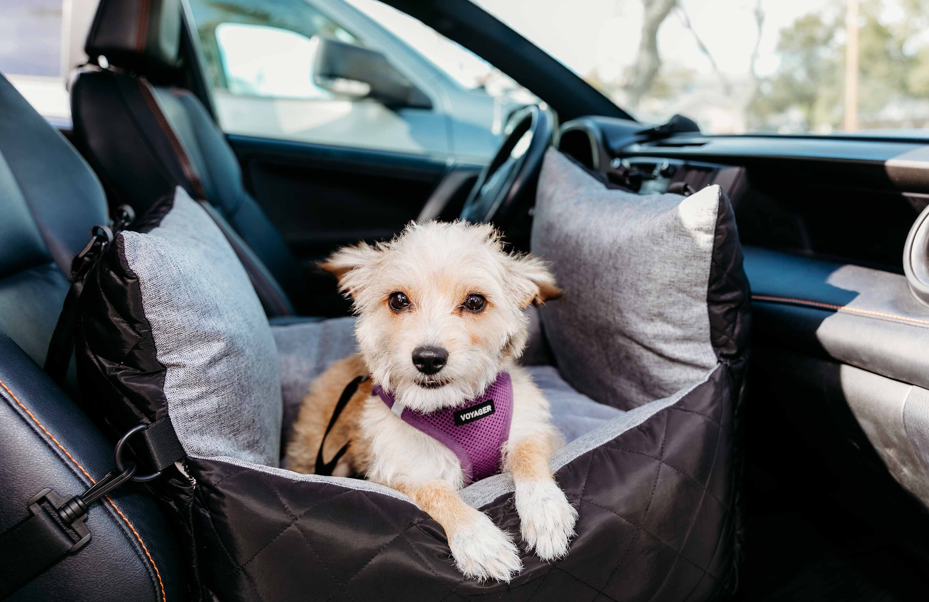 Dog Car Seat for Small/med up to 30lbs Washable, Travel Carrier Bed
