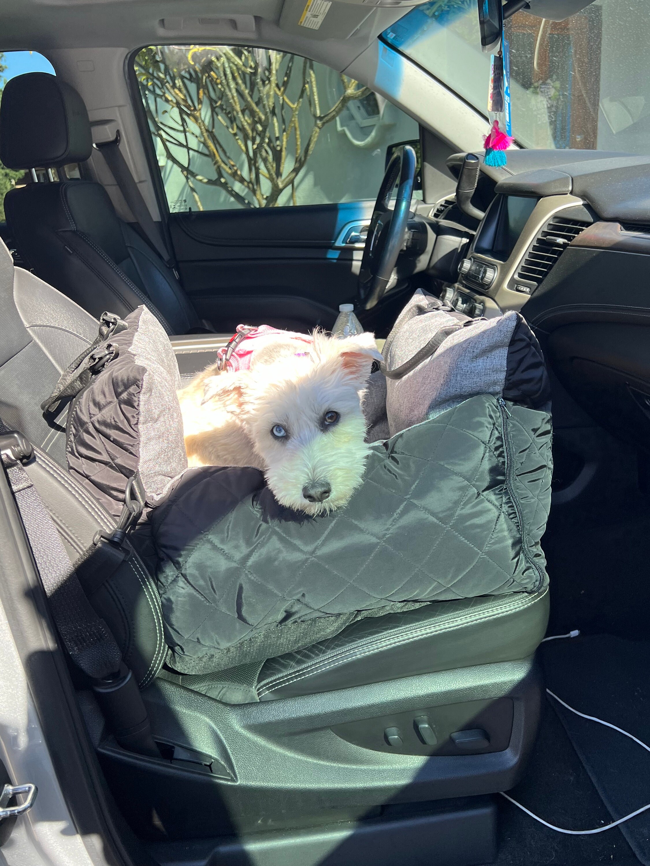 Dog Car Seat for Small/med up to 30lbs Washable, Travel Carrier Bed
