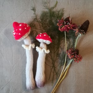 Pu&ograve; includere: Due decorazioni a forma di fungo lavorate a maglia a mano. I cappelli dei funghi sono rossi con pois bianchi e i gambi sono bianchi con un colletto a balze. Fiori secchi e verde sono disposti intorno ai funghi.