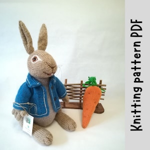 Peter rabbit Knitting Pattern for Baby Shower Decor and Rabbit Lover Gifts