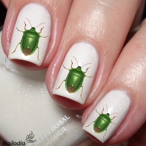 Beetle Bug Insect Nail Art Decal Sticker
