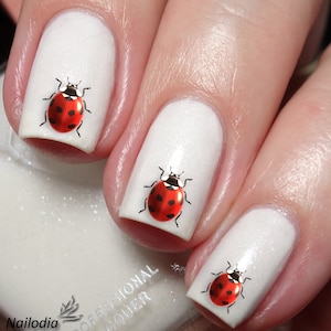 May include: Close-up of three white fingernails with ladybug nail art. Each fingernail has a red ladybug with black spots.