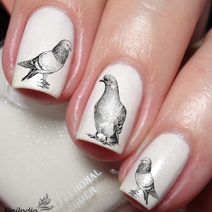 Pigeon Dove lovers Nail Art Decal Sticker