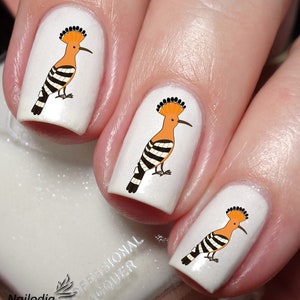 Hoopoes Bird Nail Art Decal Sticker