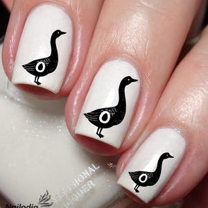 Bird Lovers Nail Art Decal Sticker