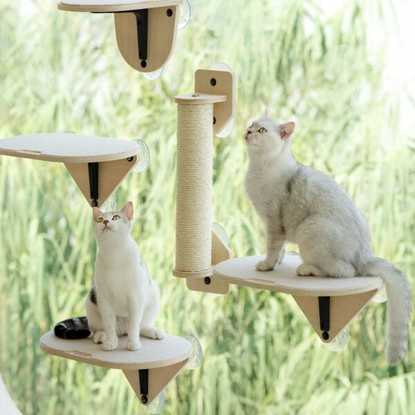 Cat Window Perch - Etsy