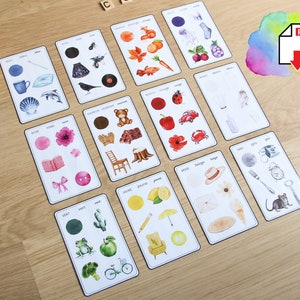 Peut inclure: Ensemble de cartes illustrées à l'aquarelle avec des objets variés, dont un coquillage, une fleur et un citron. Chaque carte porte un nom de couleur en français. Un arc-en-ciel en bois coloré est en arrière-plan.