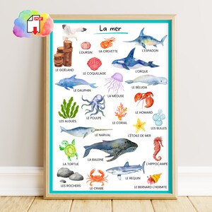 Poster di animali marini, poster Montessori ad acquerello, cameretta per bambini, asilo nido, poster di apprendimento educativo Montessori