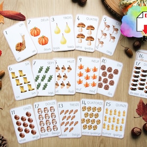 Carte de nombre/chiffre 1-20, carte de comptage, apprendre à compter, automne, Maternelle, IEF, Numération, Montessori, compter de 1-20