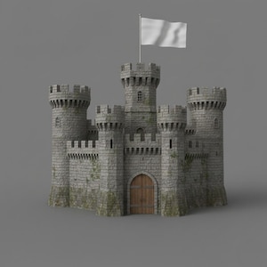 May include: A detailed model of a stone castle with multiple turrets, a wooden door, and a white flag atop the central tower. The castle has a weathered appearance with some visible plant growth, suggesting age and history.