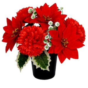 Puede incluir: Un arreglo floral de poinsettia roja y crisantemo rojo en una maceta negra. El arreglo está decorado con pequeñas flores blancas.