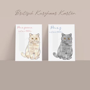 Katzen Postkarte/Kunstdruck A6