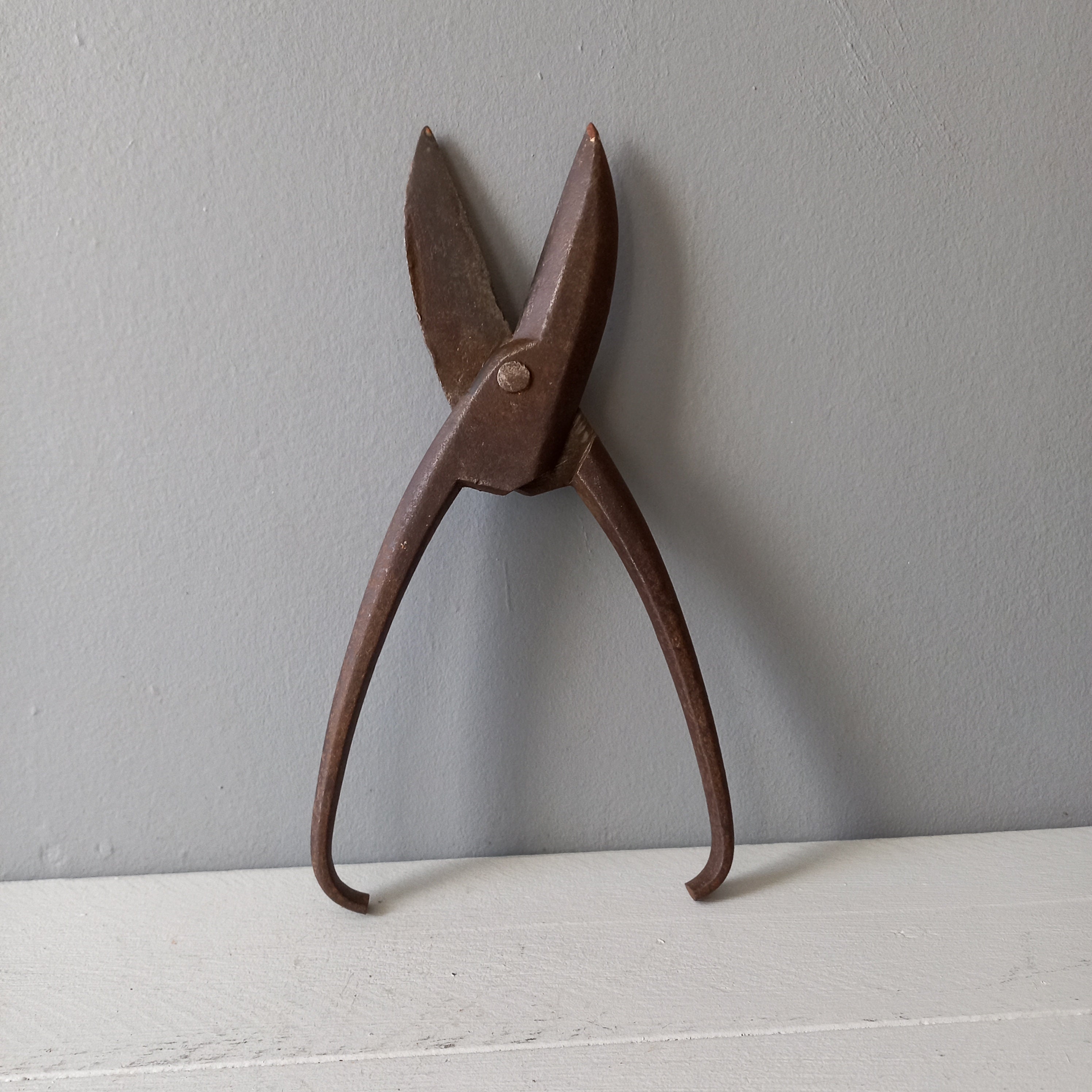 Small Cast Iron Shears From France French Vintage Cutting Etsy