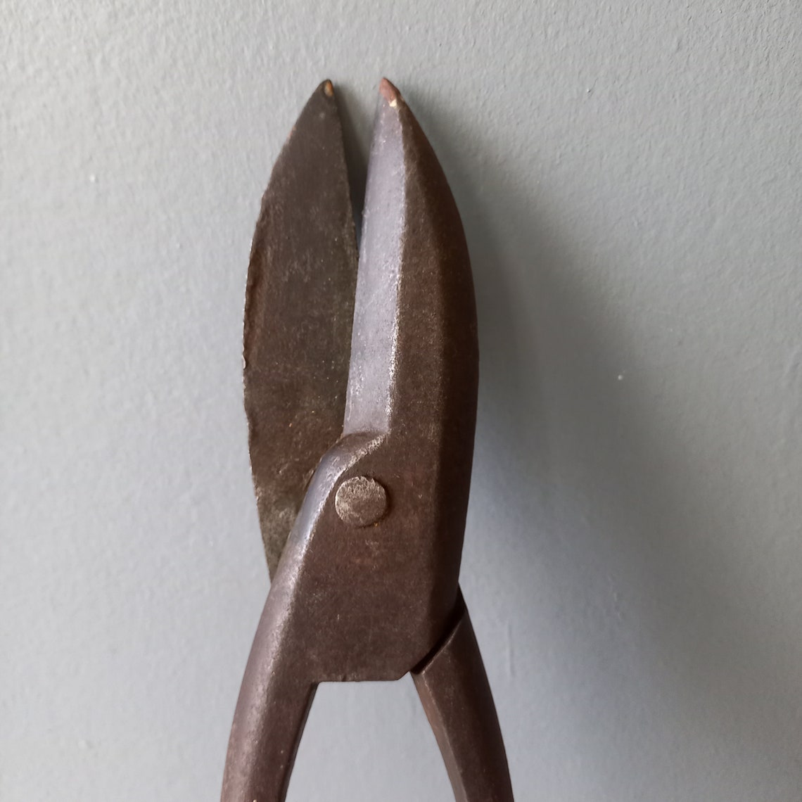 Small Cast Iron Shears From France French Vintage Cutting Etsy