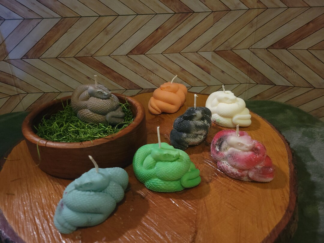 Snake Candles Etsy